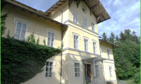 Wohnung - 5411, Oberalm - RARITÄT zur Miete! Stilvolle 2 Zimmer-Wohnung in Jahrhunderwende-Villa Oberalm