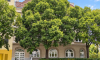 Zinshaus Renditeobjekt - 1210, Wien - Zinshaus in Floridsdorf | Bestandsfrei | ca. 443 m2 Nutzfläche | 5 Wohneinheiten | Grundstück mit ca. 484 m2 | Rohdachboden mit Ausbaupotenzial | Garten