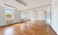 Büro / Praxis - 1190, Wien - Repräsentative Bürofläche mit ca. 213 m² in Nußdorf – Klimaanlage, flexible Raumstruktur und Glasbüros