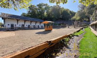 Land und Forstwirtschaft - 3420, Kritzendorf - SONJAS RANCH - Pferdehof mit Teich auf Pachtgrund