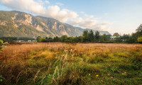 Land und Forstwirtschaft - 9587, Villach - Grünland in Villach/Oberschütt