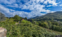 Grundstück - 2391, Kaltenleutgeben - KALTENLEUTGEBEN: Traumhaftes Baugrundstück in Süd-Ost Hanglage nahe der Wiener Stadtgrenze