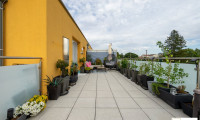 Wohnung - 2100, Korneuburg - Sonnige 3 Zimmer DG Wohnung mit ca. 33 m² großer Dachterrasse direkt in Korneuburg