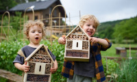 Haus - 6067, Absam - Gemeinsam wohnen, individuell gestalten – Mehrgenerationenhaus mit Potenzial #10450