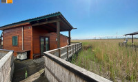 Haus - 7121, Weiden am See - ++ Seehaus mit unverbaubarem Weitblick auf Eigengrund / KEINE PACHT I MB IMMOBILIEN ++