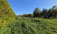 Grundstück - 2471, Rohrau - Ländliche Idylle mit Wien in Reichweite