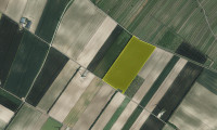 Grundstück - 2465, Höflein - Ackerflächen in Höflein bei Bruck an der Leitha zum Kauf