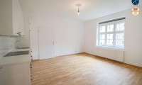 Wohnung - 3500, Krems an der Donau - Zentrale Mietwohnung nahe Altstadt und Universitäten