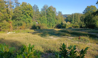 Grundstück - 3032, Eichgraben - 7 Baugrundstücke in Eichgraben – baubewilligt & aufgeschlossen, jetzt ab € 150.000!