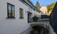 Wohnung - 1190, Wien - ZUR SCHÖNEN AGNES: Das architektonische Meisterwerk in Sievering