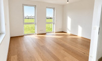 Haus - 1220, Wien - Modernes Doppelhaus in Niedrigenergiebauweise – Grünruhelage nahe Mühlwasser + KFZ-Stellplatz direkt beim Haus