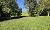 Grundstück - 4752, Berg - Baugrundstück in naturnaher Lage in Riedau - Grundstück Nr. 2