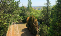 Grundstück - 2102, Hagenbrunn - Exklusives Eckgrundstück in begehrter Villenlage mit Fernblick