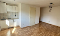 Wohnung - 8020, Graz,05.Bez.:Gries - Charmante Kleinwohnung in der Lazarettgasse zu vermieten!