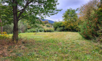 Grundstück - 2880, Otterthal - Grundstück mit ca. 930 m² in Otterthal – Bauland Agrargebiet