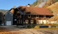 Haus - 8661, Sankt Barbara im Mürztal - Wunderschöner Bauernhof mit Wald und Wiese!