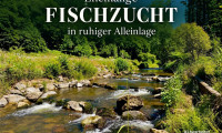 Haus - 3681, Hofamt Priel - Wo die Natur zuhause ist – Ehemalige FISCHZUCHT mit vielseitigem Potenzial