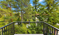Wohnung - 2542, Kottingbrunn - Hochwertiger Dachgeschoss-Erstbezug mit Balkon