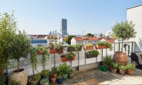 Wohnung - 1220, Wien,Donaustadt - Ruhige, sonnige Terrassen-Maisonette mit Fernblick