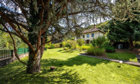Haus - 3423, St. Andrä-Wördern - Sonnige Ruhelage - Einfamilienhaus mit 3.288 m² teilbarem Bauland-Grundstück