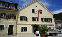 Büro / Praxis - 8130, Frohnleiten - *** wunderschöne Gewerbefläche *** direkte Stadtlage - Frohnleiten - samt Parkplatz