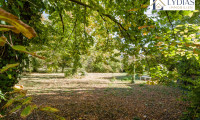 Grundstück - 2700, Wiener Neustadt - Attraktives Baugrundstück (Bauland-Wohngebiet) mit idyllischem Baumbestand im beliebten Ungarviertel, Top Infrastruktur