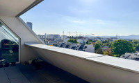 Wohnung - 1220, Wien - TOP-AUSSTATTUNG - DONAU-NÄHE - HELLIGKEIT - KLIMAANLAGE - 4 ZIMMER