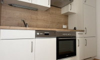 Wohnung - 8010, Graz - Charmante, lichtdurchflutete Dachgeschoßwohnung: 1 Zimmer, Küchennische, moderne Ausstattung, Parkett, geräumiges Badezimmer - schön saniert!