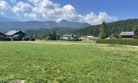 Wohnung - 8983, Bad Mitterndorf - Charmante 1-Zimmer-Freizeitwohnung im schönen Bad Mitterndorf im steirischen Salzkammergut (!)
