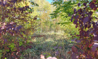 Grundstück - 2700, Katzelsdorf - Baugrundstück mit 849 m² in Katzelsdorf – Frohsdorfersiedlung