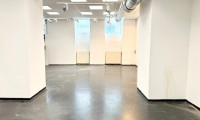 Büro / Praxis - 1080, Wien,Josefstadt - Unbefristet: Souterrainlokal in der Piaristengasse (Atelier, Reformer- Pilates, Yoga, Fitneßstudio) keine Gastronomie