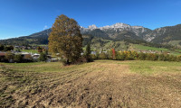 Grundstück - 5771, Leogang - absolute Rarität - Gewerbegrundstück im Pinzgauer Leogang mit 2.890 m2