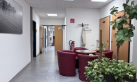 Büro / Praxis - 3105, St. Pölten - All-Inklusive Büros im Gewerbegebiet: ab 23 m², Flächen erweiterbar