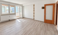 Wohnung - 1210, Wien - Stellplatz inklusive! Großzügige 4-Zimmer-Wohnung mit Kamin und sonniger Loggia ++ 2 Duschen und 2 WCs