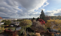 Wohnung - 4040, Linz - LINZ Pöstlingberg: Wohnen mit Ausblick