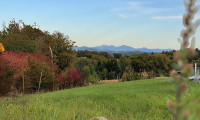 Grundstück - 8502, Lannach - 4 GRUNDSTÜCKE. EIN GROSSES POTENZIAL! 2.363 m² Bauland in Lannach